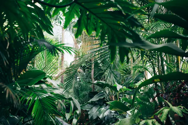 Foto von Chris Abney auf Unsplash