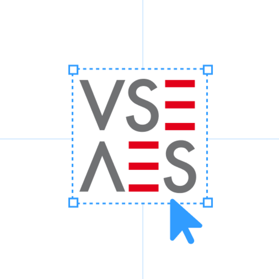 vse