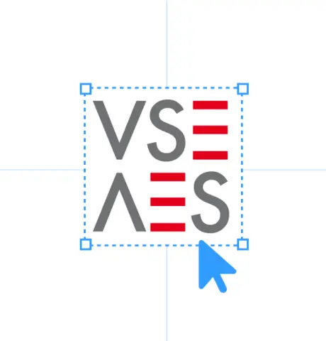 VSE/AES Logos